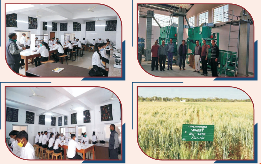 DEPARTMENT OF GENETICS AND PLANT BREEDING